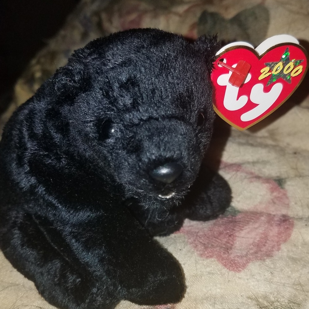 2000 ty beanie baby